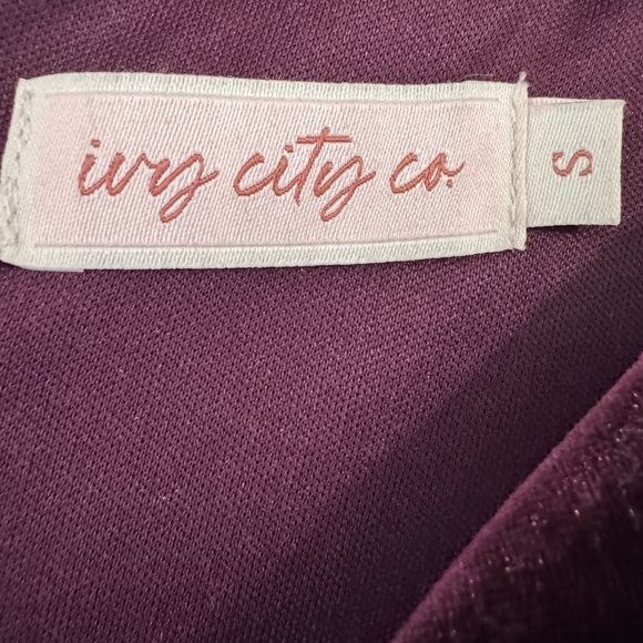 Ivy City Co Velvet Jumpsuit - Picture 5 of 8